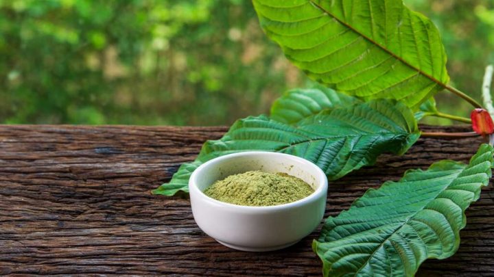 best kratom strains brands