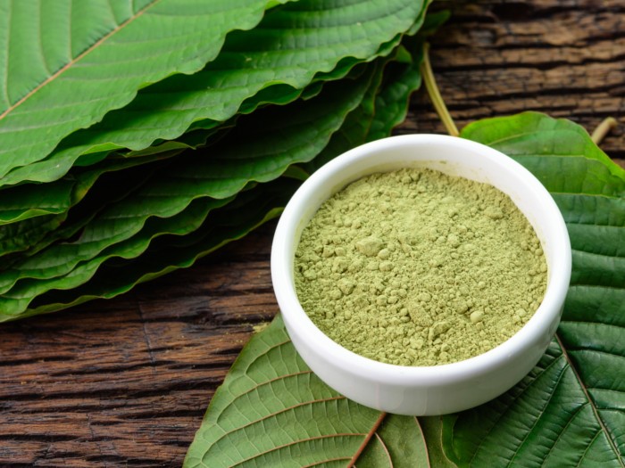 Green Thai Kratom vs. Other Strains: Which Is Right for You?